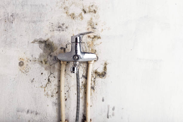 Best Mold Cleaning Services  in Green Valley, SD
