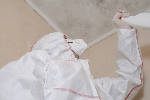 Professional Mold Removal in Green Valley, SD