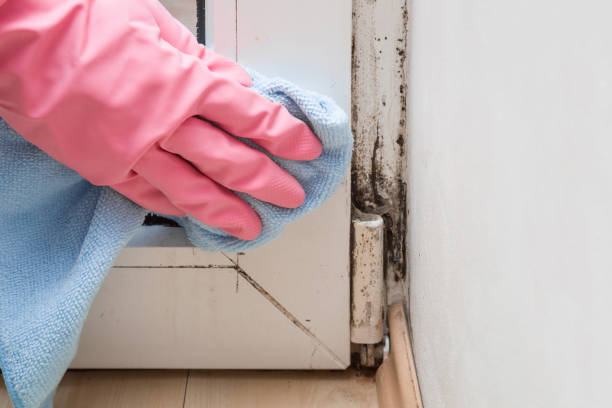 Best Residential Mold Removal  in Green Valley, SD